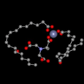 Molekülmodell von aktiviertem Zinkrizinoleat